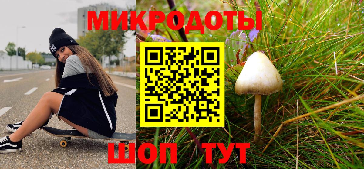 Псилоцибиновые грибы Psilocybe  Вход с VPN  Галлюциногенные грибы Cubensis  Элиста 